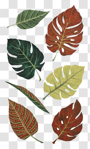Tropical Leaves - Hand-Drawn Tropical Leaves In Artistic Style Transparent PNG