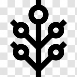 Computer Software Science Black Security - And White Transparent PNG