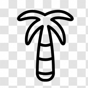 Arecaceae Tree Palm Branch Clip Art - Sabal Transparent PNG