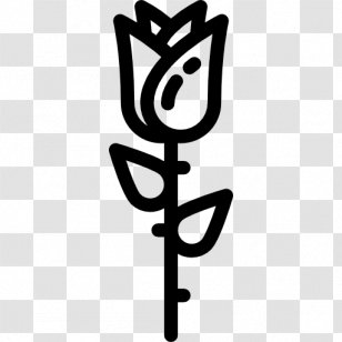 Rose - Black And White Transparent PNG