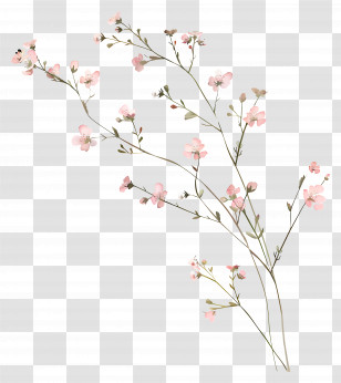 Pink Flowers - Branch Of Delicate Pink Wildflowers Transparent PNG
