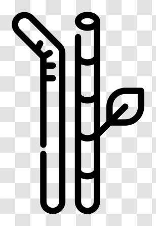 Drinking Straws - Sugarcane Plant Illustration Transparent PNG