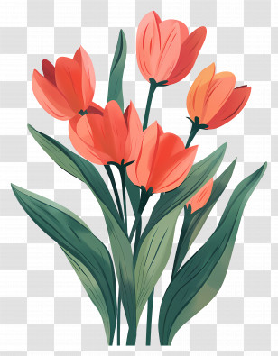 Tulip Bouquet - Red Tulip Flowers Illustration Transparent PNG