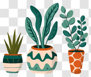Potted Plants - Stylish Potted Houseplants Transparent PNG