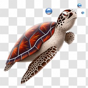 Green Sea Turtle Reptile Transparent PNG