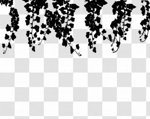 Clip Art Illustration Vector Graphics Drawing - Plant - Blackandwhite Transparent PNG