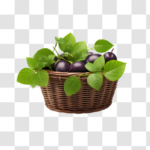 Plum - Basket Of Plums With Leaves Transparent PNG