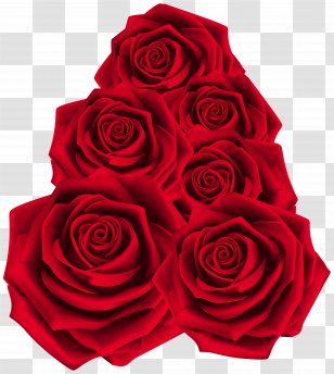 Image File Formats Lossless Compression - Flowering Plant - Red Roses Transparent Clip Art Transparent PNG