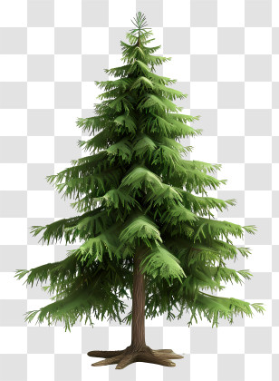 Fir Tree - Green Christmas Tree Illustration Transparent PNG