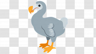 Dodo - Cartoon Dodo Bird Illustration Transparent PNG