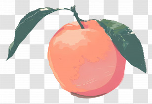 Peach - Peach Illustration With Leaf Details Transparent PNG