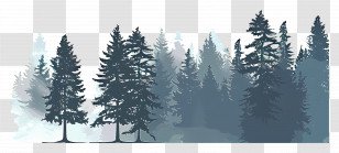Forest Landscape - Silhouette Of A Pine Tree Forest Transparent PNG