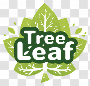 Tree Leaf - Tree Leaf Logo Transparent PNG