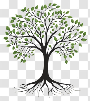 Tree With Roots - Tree With Full Leaves And Roots Illustration Transparent PNG