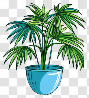Mexican Fan Palm - Green Potted Palm Plant Illustration Transparent PNG