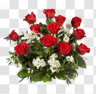 Cadbury Dairy Milk Gift Chocolate Birthday - Flowering Plant - Bouquet Flowers Transparent PNG