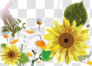 Limousin .de - Petal - Camomile Transparent PNG