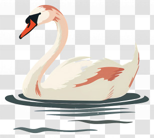 Swimming Swan - Elegant White Swan Swimming In Calm Water Transparent PNG