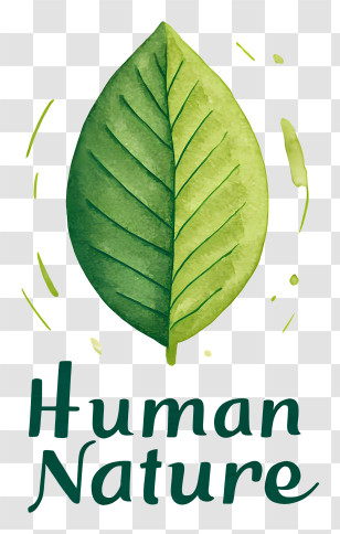 Human Nature Logo - Human Nature Green Leaf Transparent PNG