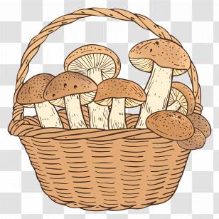 Basket Of Mushrooms - Basket Curated With Fresh Mushrooms Illustration Transparent PNG