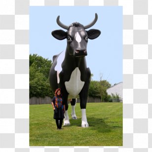 Dairy Cattle Ox Pasture Bull - Cow Goat Family Transparent PNG