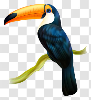 Bird Parrot - Colorful Toucan Perched On A Branch Illustration Transparent PNG