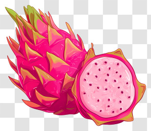 Pineapple - Dragon Fruit Illustration In Vibrant Pink Colors Transparent PNG
