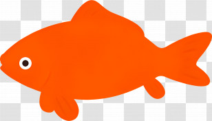 Goldfish - Orange Fish Cartoon Illustration Transparent PNG
