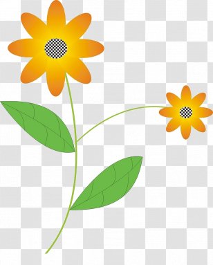 Flower Flora Petal Illustration - Yellow - Sunflower Transparent PNG