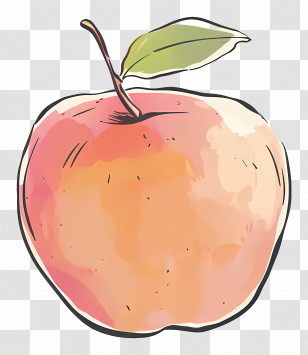 Cute Apple - Watercolor Apple Illustration Transparent PNG