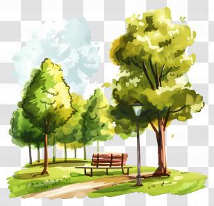 Summer Park - Park Scene With Pathway And Green Trees Transparent PNG