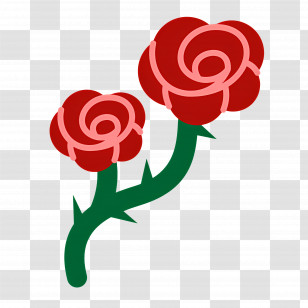 Rose Flower - Red Flowers Transparent PNG