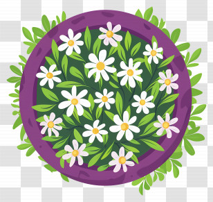 Plants Top View - Potted Plant With White Flowers Transparent PNG