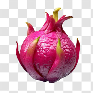 Dragon Fruit
 - Vibrant Pink Dragon Fruit Transparent PNG