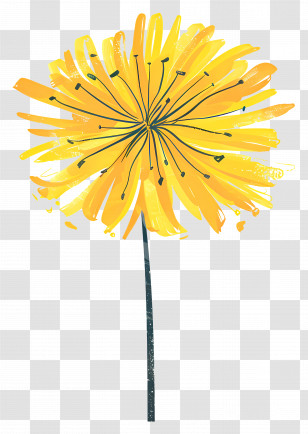 Yellow Dandelion - Yellow Flower Illustration Transparent PNG