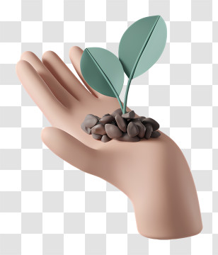 Hand And Plant - Hand Holding A Growing Plant Transparent PNG