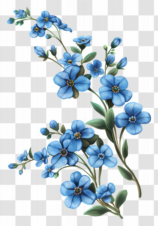 Forget Me Not Flower - Beautiful Blue Forget-Me-Not Flowers Illustration Transparent PNG