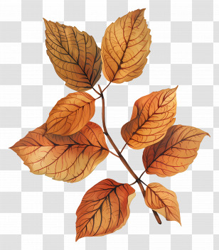 Autumn Background - Orange Autumn Leaves In A Natural Artistic Style Transparent PNG