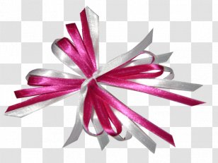 Marriage Document Image Party Adulto - Cartoon - Candy Castle Door Decorations Transparent PNG