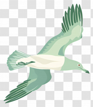 Cartoon Bird Flying - Illustration Of A Flying Seagull In Flight Transparent PNG