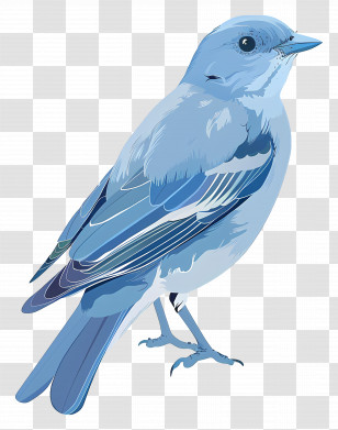 Bird - Detailed Blue Bird Illustration Transparent PNG