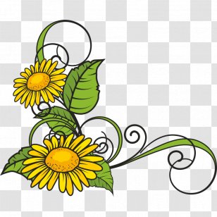 Picture Frames Stock Photography Flower Clip Art - Food Transparent PNG