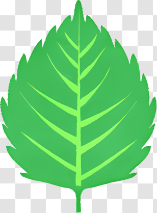 Cartoon - Bright Green Leaf Graphic Design Transparent PNG