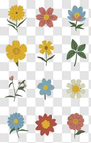 Flower Images - Set Of Colorful Flowers Illustration Transparent PNG