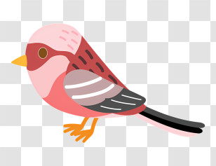 Bird - Cute Pink And Brown Bird Illustration Transparent PNG