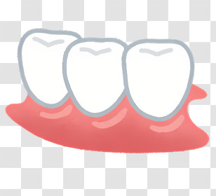 Icon - Illustration Of Teeth And Gums Transparent PNG