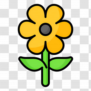 Daisy Flower - Yellow Flower With Green Leaves Transparent PNG