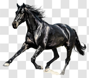 Running Black Horse - Dynamic Running Black Horse Transparent PNG
