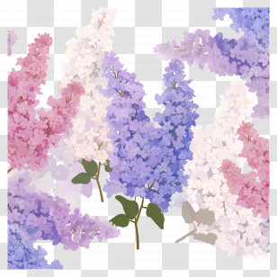 Lilac Flowers - Lilac Flower Arrangement Transparent PNG