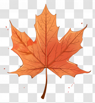 Autumn Maple Leaf - Illustration Of An Autumn Maple Leaf Transparent PNG